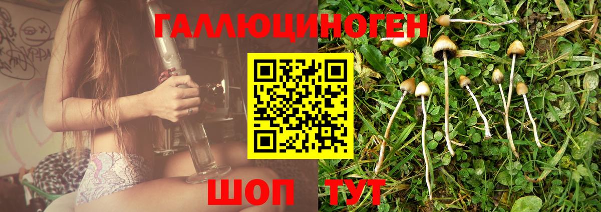 Галлюциногенные грибы мицелий  Вход с VPN  Дивногорск 